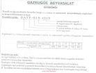 Gázrugós ágyvasalat heverőhöz 500N