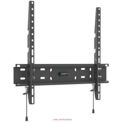 Fali LCD TV konzol 19"-65" fix 74-165 cm